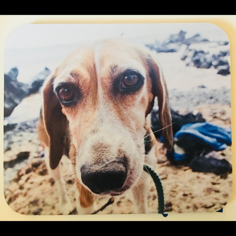 Beagle Photo Mousepad standard size